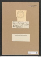 Campylodiscus ornatus Grev. (de-Toni-Nr.: Genus 57, Species 2506) Zeichnungen Sammlung Grunow Nr. 5011 (NHMW-BOT-W0373260)